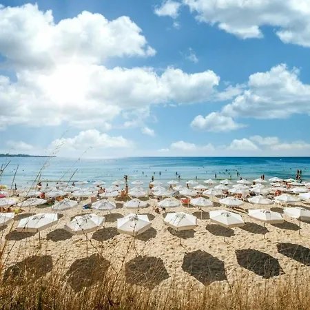 Harmony Grand 16 Private 214 * 阳光海滩